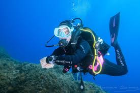 Profil von Josuah